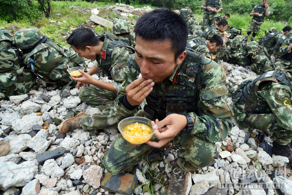 养殖泥鳅的风险,数据资料解释落实