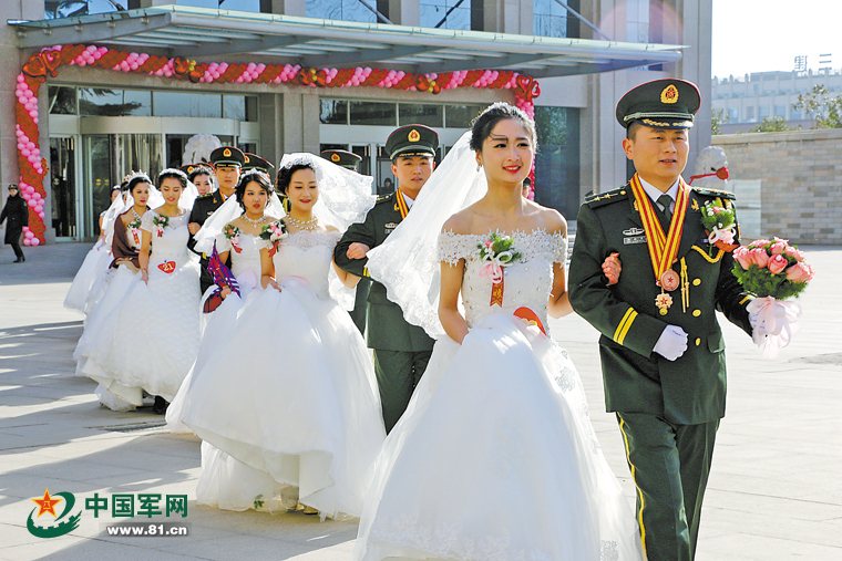 兰花图片,最新分析解释落实