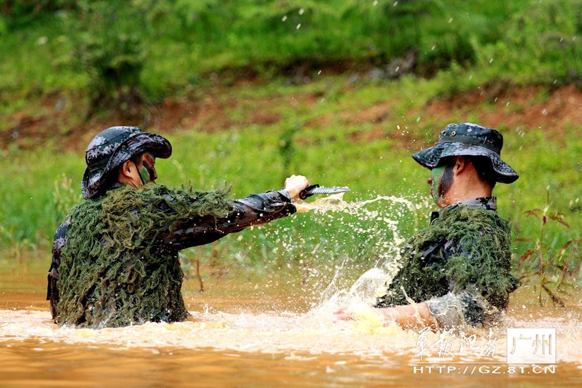 三年级智商测试题15题,最新分析解释落实